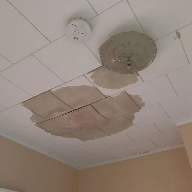 Ceiling Water Damage Repair in Luckey, OH