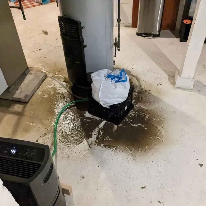 Sewage Backup Cleanup Service in Luckey, OH